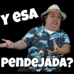 Me gustas