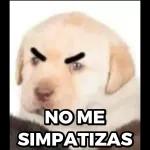 TU SI QUE SABES SOCIO