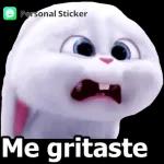Me gritaste