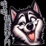 好二哈-日常白目篇