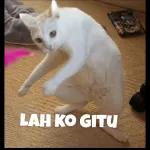 We Love
PALESTINE
FR
PALES