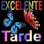 EXCELENTE Tarde