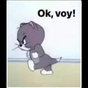 Ok, voy! - getsticker.com