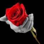 تسلمين يا الغالية