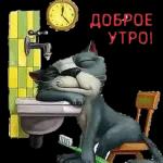 Доброе утро 