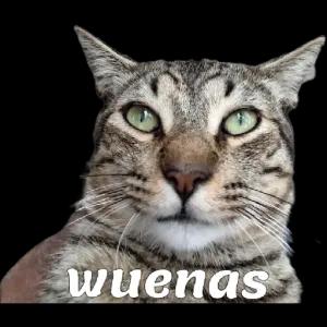buenas - getsticker.com