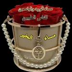 نی المايحبك after