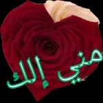 ببببببببببب