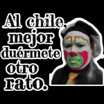 paquete 2