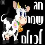 שבועות