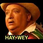 Hola grupo