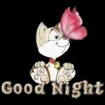 000
Good Night