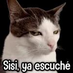 La gente inventa cada cosa