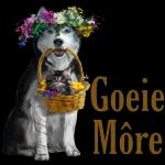 Good morning
bark Wate Marty
Weter Mok Wetera
exter
Mark.