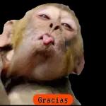 Gracias