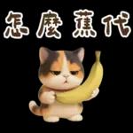 花貓超可愛諧音梗