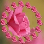 Are you kitten me right meow?