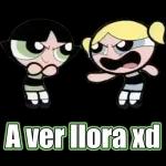 Que tengas un buen mediodía.