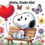 bellos