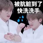 seventeen表情管理2 :: @fStikBot