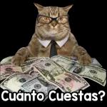 Bonito dia a todos LO JKA MUJKA MUJKA MUJK KA MUJRA MUJK JKA JKA MUJK MAJKA