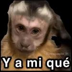 cuenta el