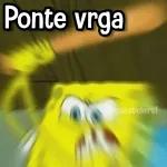 Memes con Frases #2🧠