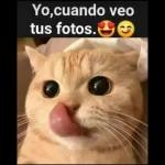 Arlett 