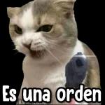 TE SERÉ FRANCO NO ME GUSTA NADA TU COMENTARIO