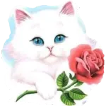 Have a good day!