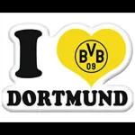 NUR DER BVB 