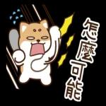 怎麼可能，你不懂！！