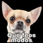 komo lo zupo
