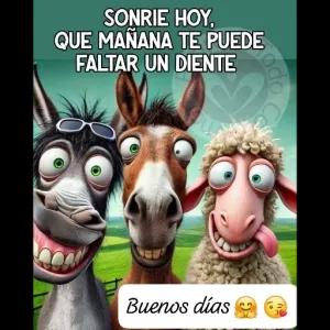 SONRIE HOY, QUE MAÑANA TE PUEDE FALTAR UN DIENTE Buenos días 😊😘 - getsticker.com