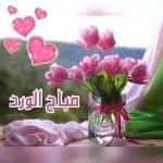 صباح الورد