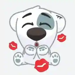 ROMgnQ