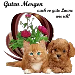 для настроения 🍁🍁💖