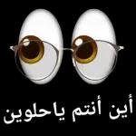 سككك