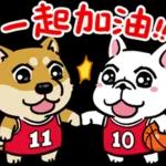 你的頭是不是被門夾到？！