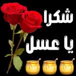 أنت على الراس