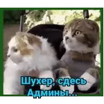 🤩🤷‍♂️🤷‍♂️🤷‍♂️