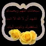 قاعد مستنيك
