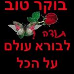 LOVE yoR היוצרים של ילי
