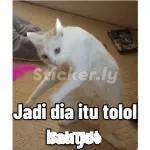 meme