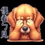 好黃金獵犬-微白目篇