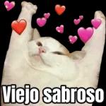 Leyendo tus mentiras