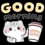 แมวมาร์คัส V.3 : HNY