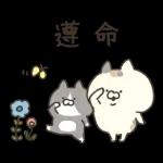 三只小猫生活日常☆ 2