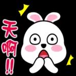 蹦兔聊日常2~~~~