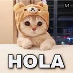 Que tengas una buena tarde.